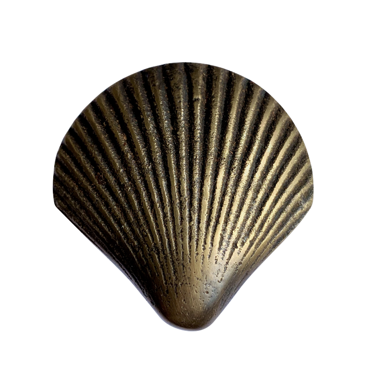 Brass Shell Knob by Pineapple Traders