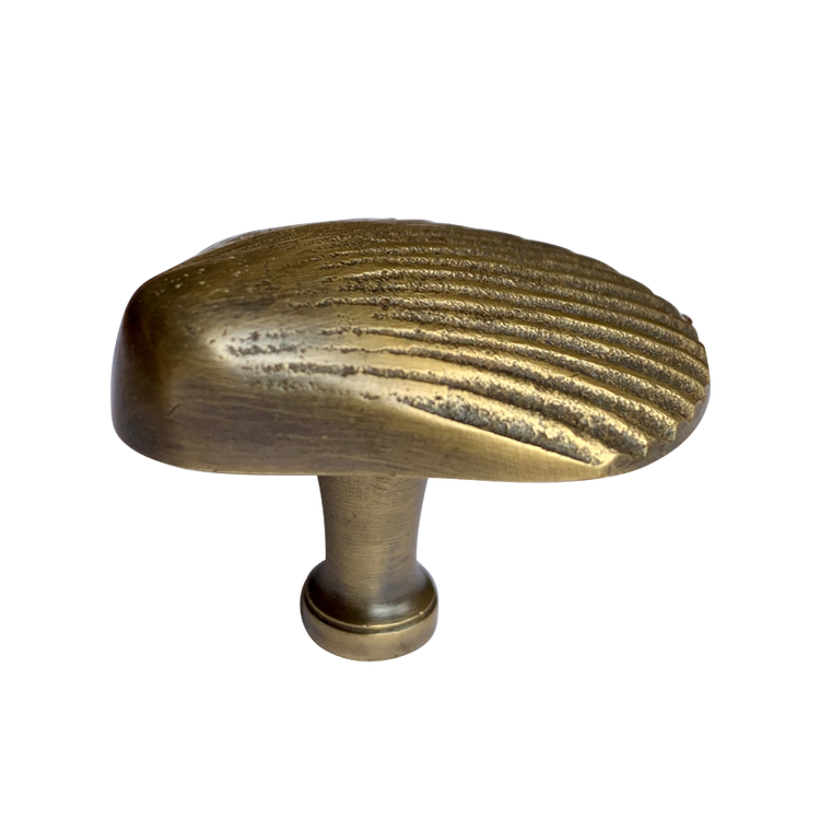 Brass Shell Knob by Pineapple Traders