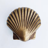 Scallop Shell Knob | by Pineapple Traders
