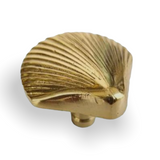 Brass Shell Knob | by Pineapple Traders