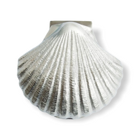 Petite Scallop Shell Door Knocker | by Pineapple Traders