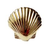 Brass Scallop Shell Knob by Pineapple Traders