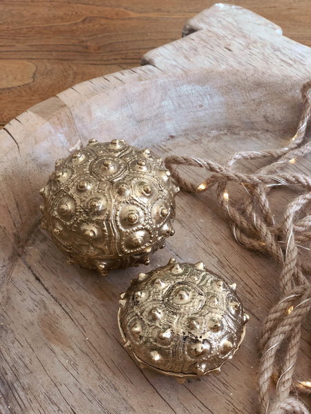 Sea Urchin brass jewellery box