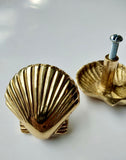 Brass Scallop Shell Knob by Pineapple Traders