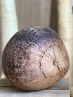 whole coconut (drained) in husk